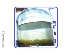 Újszegeden és Szőregen gyakoriak a minőségi problémák!!!